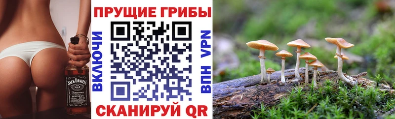 купить закладку  hydra сайт  Галлюциногенные грибы Magic Shrooms  Усолье-Сибирское 