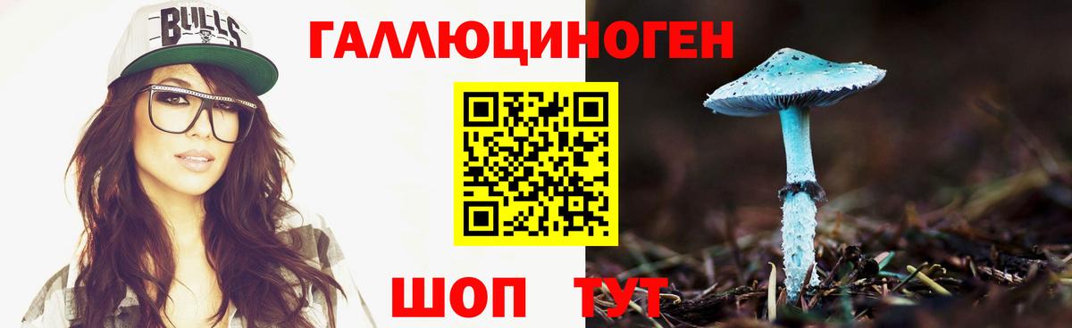 Галлюциногенные грибы MAGIC MUSHROOMS  Вход с VPN  Усолье-Сибирское 